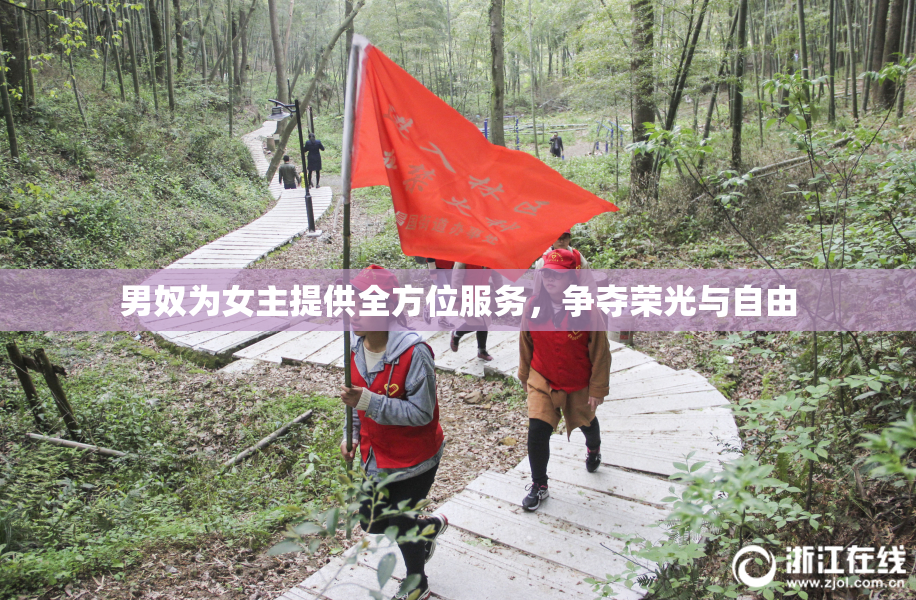 男奴为女主提供全方位服务，争夺荣光与自由