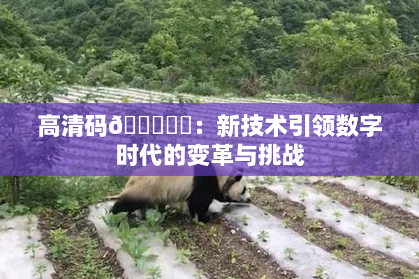 高清码🔞❌‌：新技术引领数字时代的变革与挑战