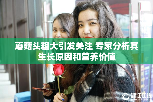 蘑菇头粗大引发关注 专家分析其生长原因和营养价值