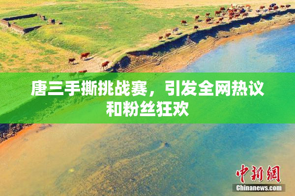 唐三手撕挑战赛，引发全网热议和粉丝狂欢