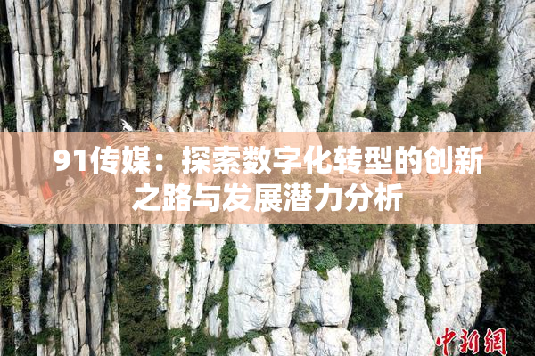 91传媒：探索数字化转型的创新之路与发展潜力分析