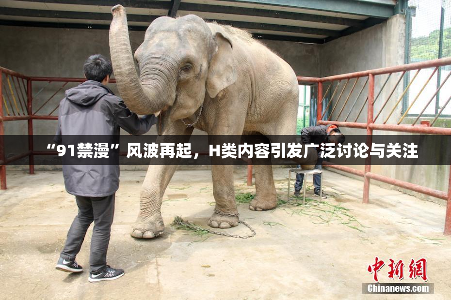 “91禁漫”风波再起，H类内容引发广泛讨论与关注