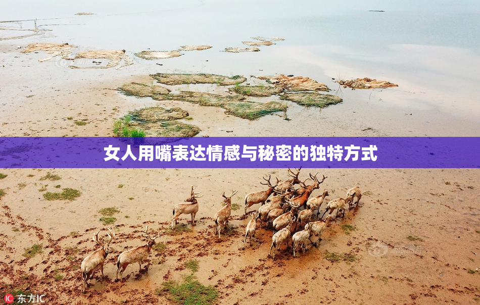 女人用嘴表达情感与秘密的独特方式