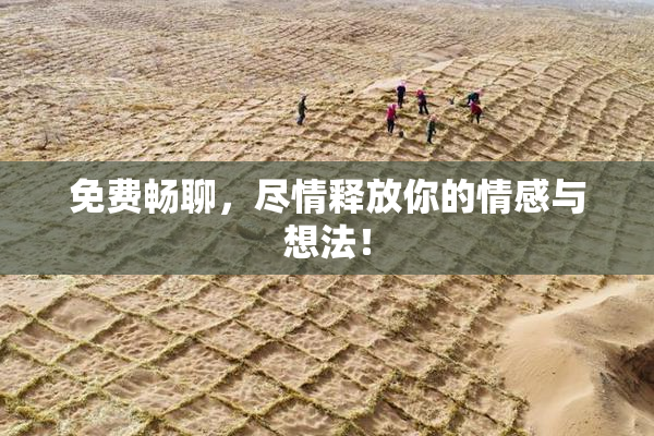 免费畅聊，尽情释放你的情感与想法！