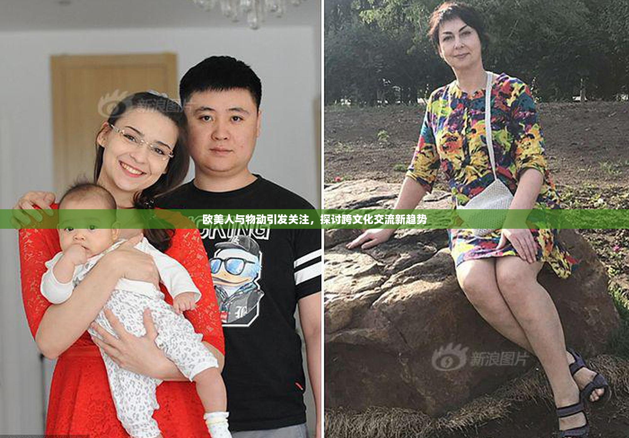 欧美人与物动引发关注，探讨跨文化交流新趋势