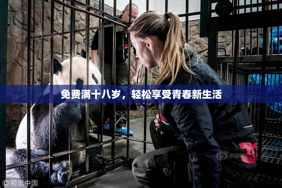 免费满十八岁，轻松享受青春新生活