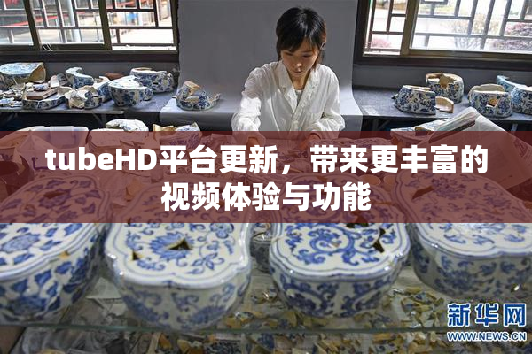 tubeHD平台更新，带来更丰富的视频体验与功能
