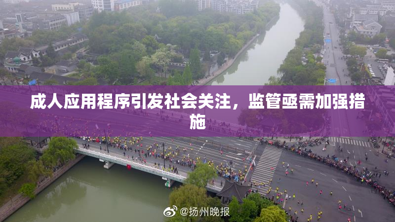 成人应用程序引发社会关注，监管亟需加强措施