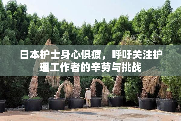 日本护士身心俱疲，呼吁关注护理工作者的辛劳与挑战