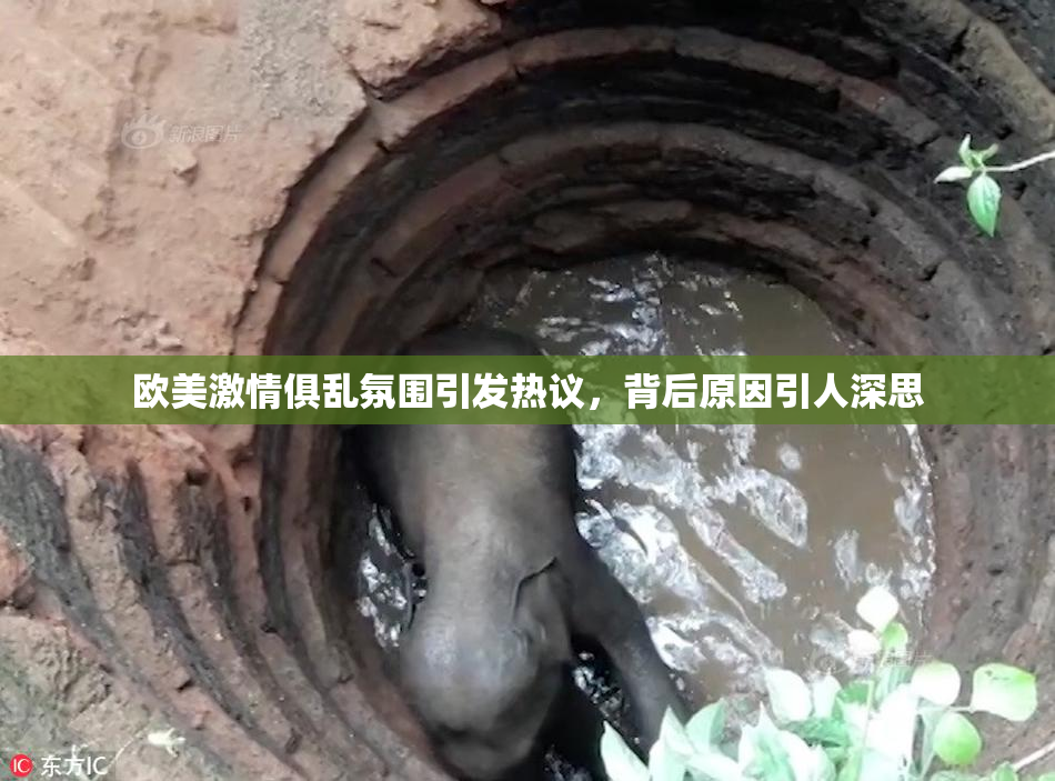 欧美激情俱乱氛围引发热议，背后原因引人深思