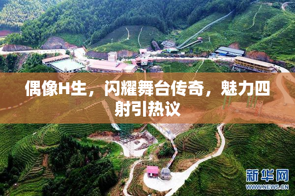 偶像H生，闪耀舞台传奇，魅力四射引热议