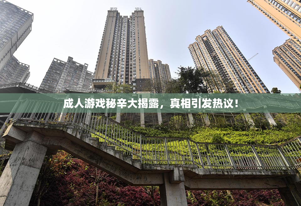 成人游戏秘辛大揭露，真相引发热议！