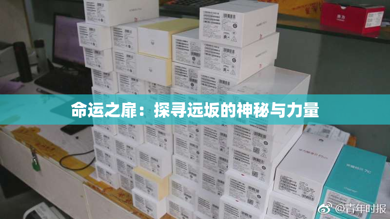命运之扉：探寻远坂的神秘与力量