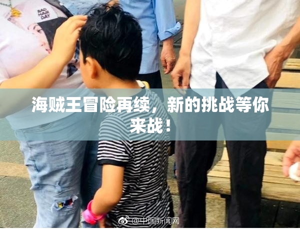 海贼王冒险再续，新的挑战等你来战！