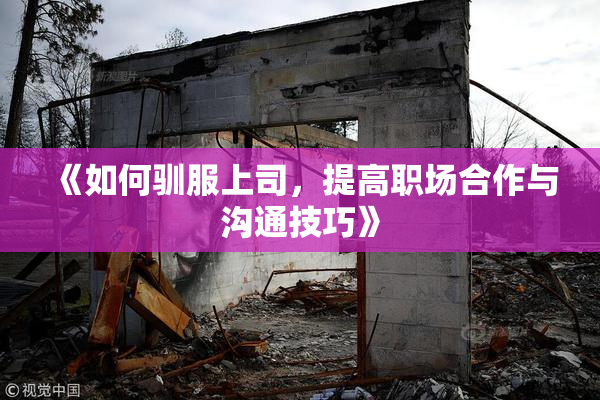 《如何驯服上司，提高职场合作与沟通技巧》