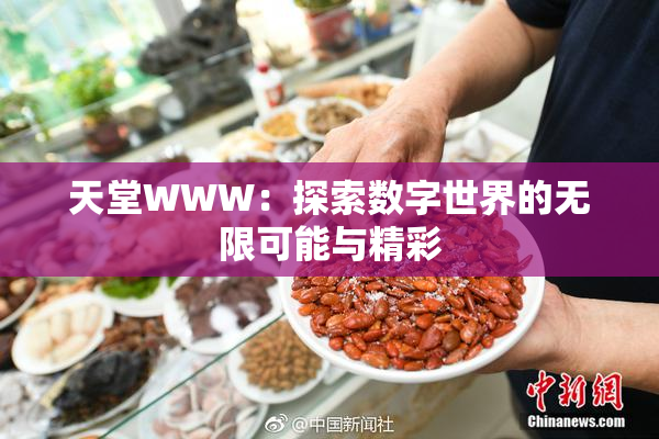 天堂WWW：探索数字世界的无限可能与精彩