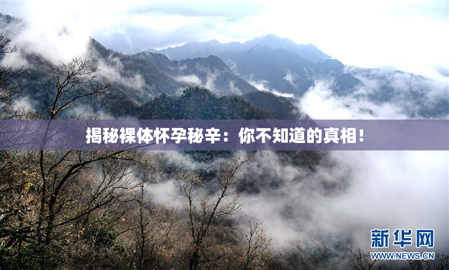 揭秘裸体怀孕秘辛：你不知道的真相！