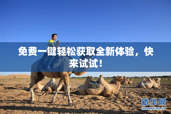 免费一键轻松获取全新体验，快来试试！
