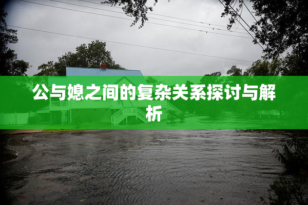 公与媳之间的复杂关系探讨与解析