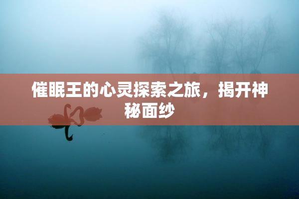 催眠王的心灵探索之旅，揭开神秘面纱