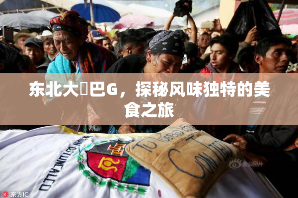 东北大鷄巴G，探秘风味独特的美食之旅