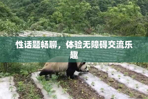 性话题畅聊，体验无障碍交流乐趣