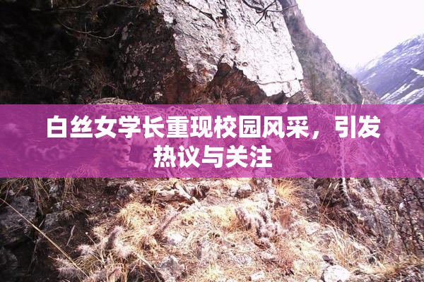 白丝女学长重现校园风采，引发热议与关注
