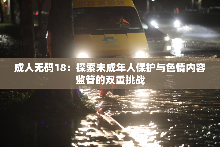 成人无码18：探索未成年人保护与色情内容监管的双重挑战