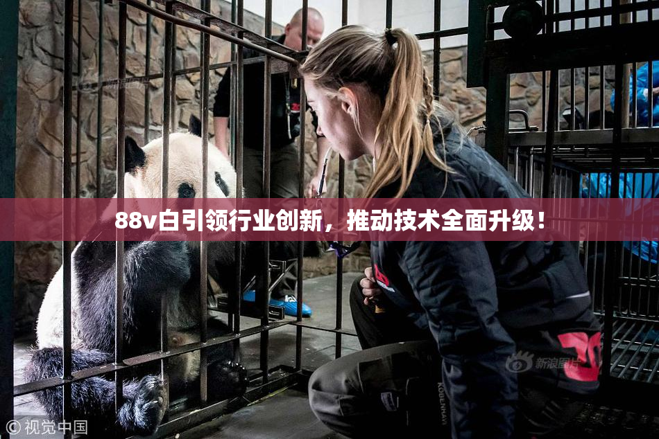 88v白引领行业创新，推动技术全面升级！