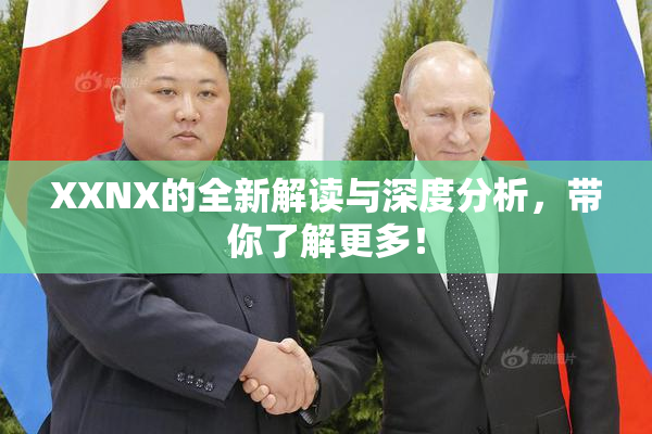 XXNX的全新解读与深度分析，带你了解更多！