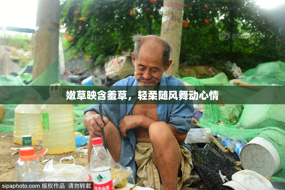嫩草映含羞草，轻柔随风舞动心情
