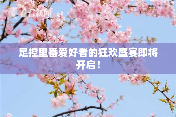 足控里番爱好者的狂欢盛宴即将开启！