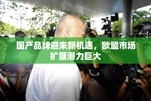 国产品牌迎来新机遇，欧盟市场扩展潜力巨大