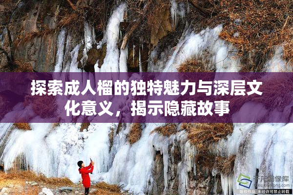 探索成人榴的独特魅力与深层文化意义，揭示隐藏故事