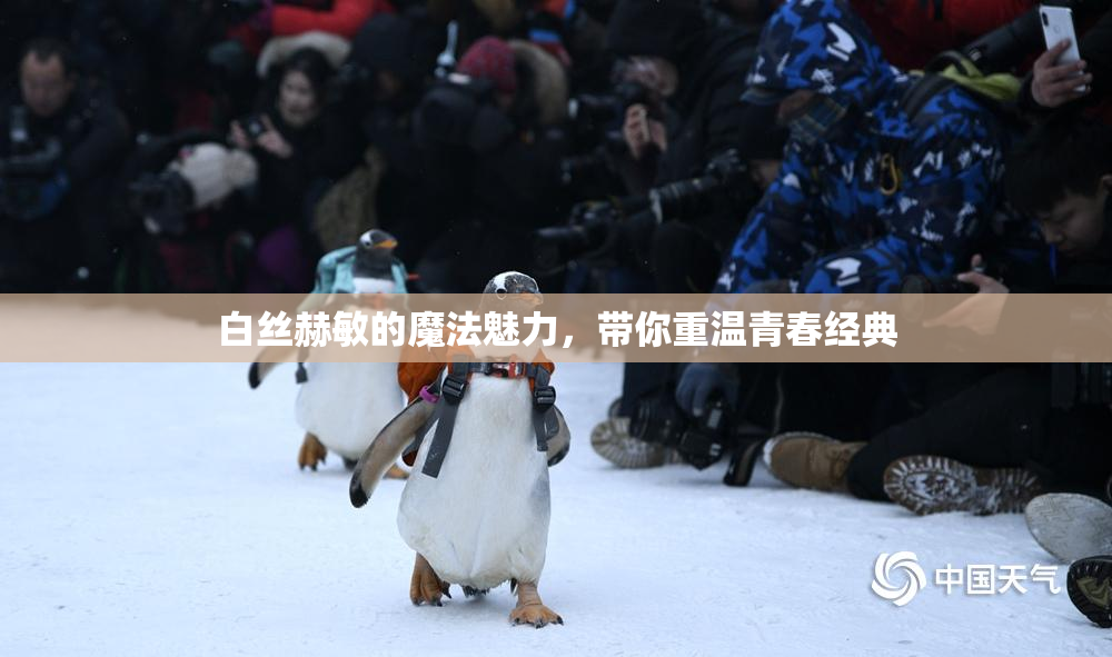 白丝赫敏的魔法魅力，带你重温青春经典
