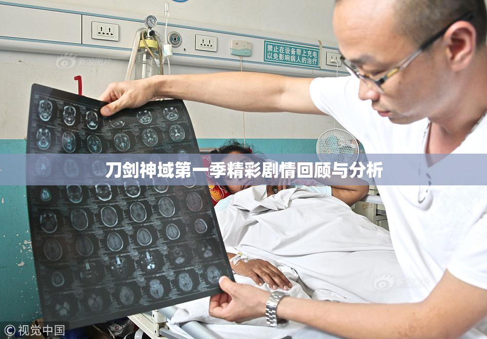 刀剑神域第一季精彩剧情回顾与分析