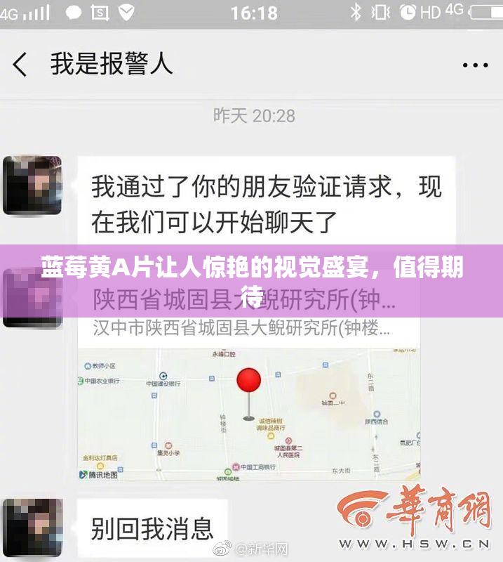 蓝莓黄A片让人惊艳的视觉盛宴，值得期待