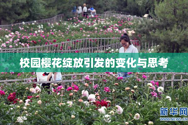校园樱花绽放引发的变化与思考