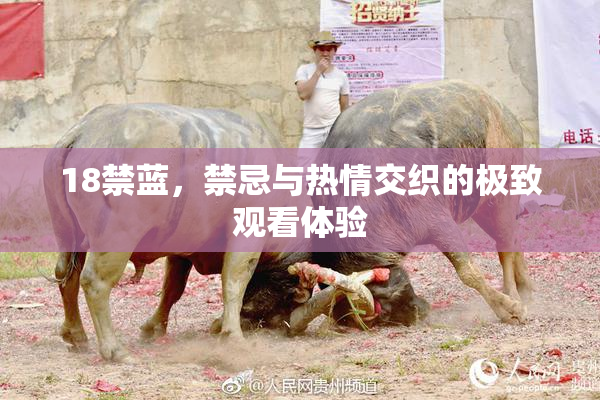 18禁蓝，禁忌与热情交织的极致观看体验