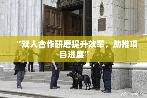 “双人合作研磨提升效率，助推项目进展”