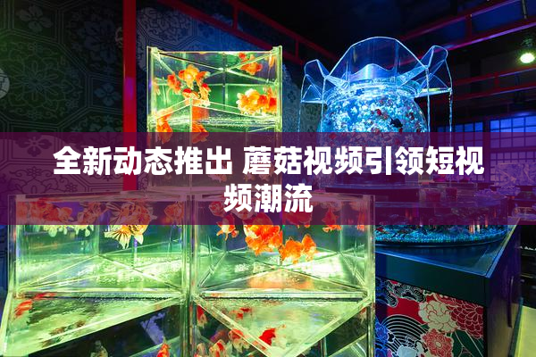 全新动态推出 蘑菇视频引领短视频潮流