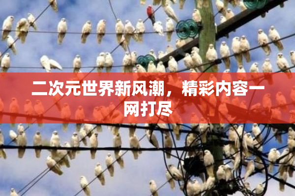 二次元世界新风潮，精彩内容一网打尽