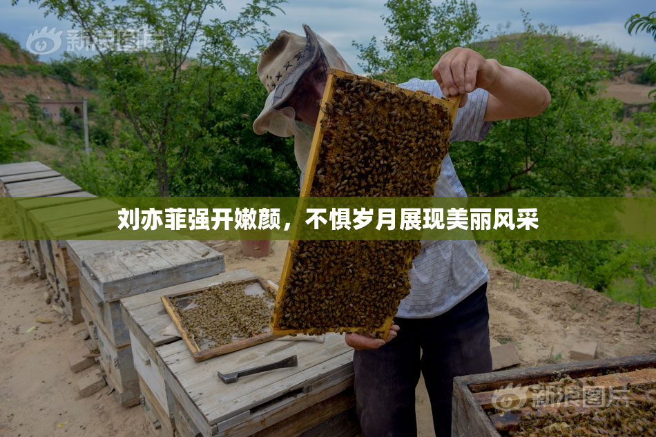 刘亦菲强开嫩颜，不惧岁月展现美丽风采