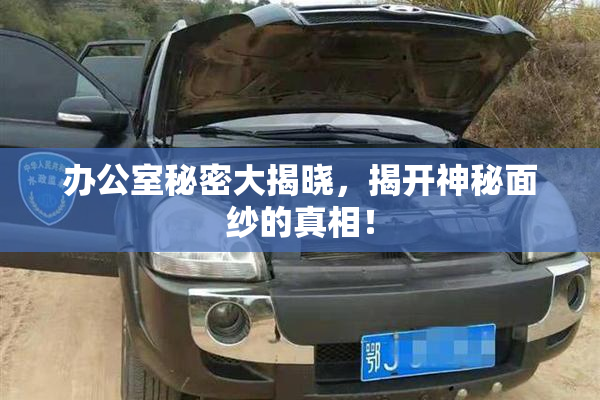 办公室秘密大揭晓，揭开神秘面纱的真相！