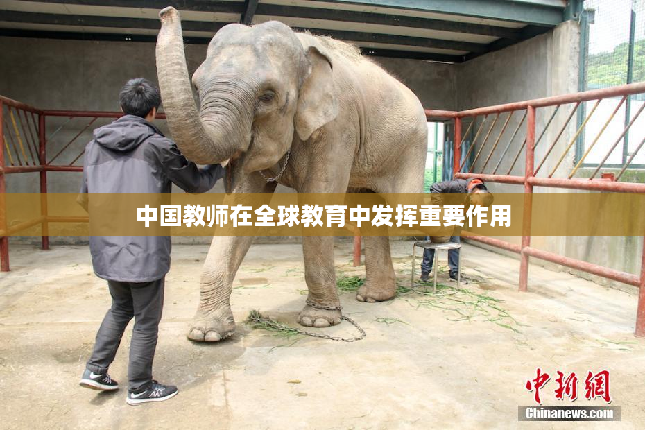 中国教师在全球教育中发挥重要作用