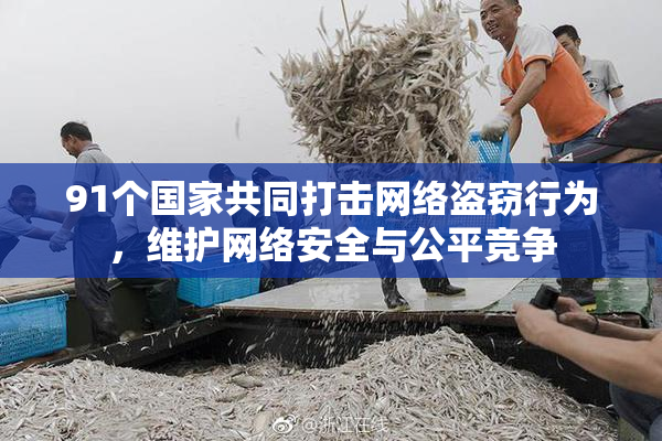 91个国家共同打击网络盗窃行为，维护网络安全与公平竞争