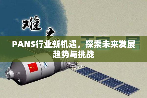PANS行业新机遇，探索未来发展趋势与挑战