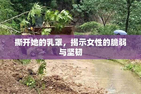 撕开她的乳罩，揭示女性的脆弱与坚韧