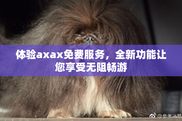 体验axax免费服务，全新功能让您享受无阻畅游