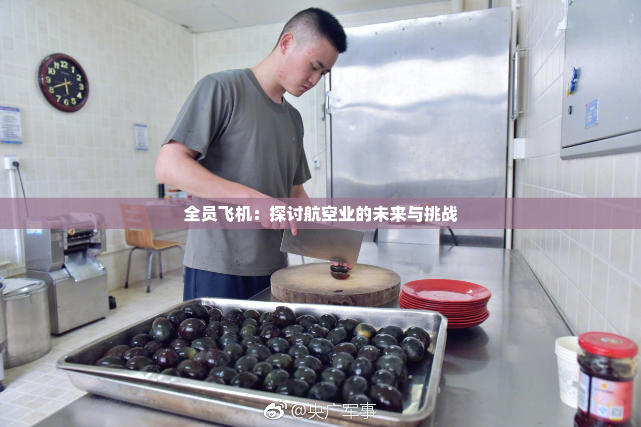 全员飞机：探讨航空业的未来与挑战